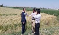اجرای آبیاری‌ نوین در میاندوآب موجب صرفه‌جویی 40 میلیون مترمکعبی آب شد